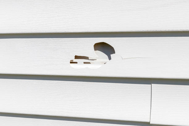 Best Shed Removal  in South Deerfield, MA