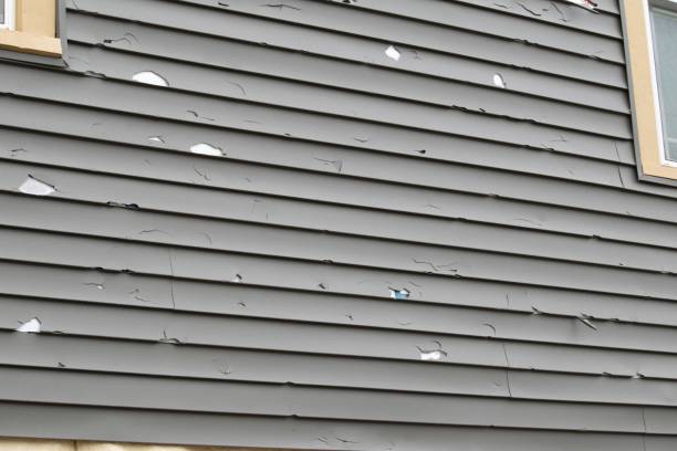 Best Hoarding Cleanup  in South Deerfield, MA